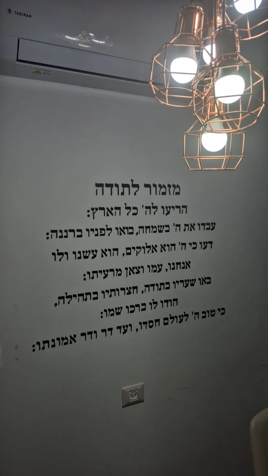 תמונה ממיכל לוי