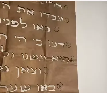 תמונה מיוסי אבני